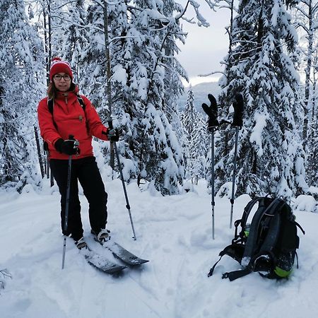 Guesthouse Koli Freetime Ahmovaara Bagian luar foto