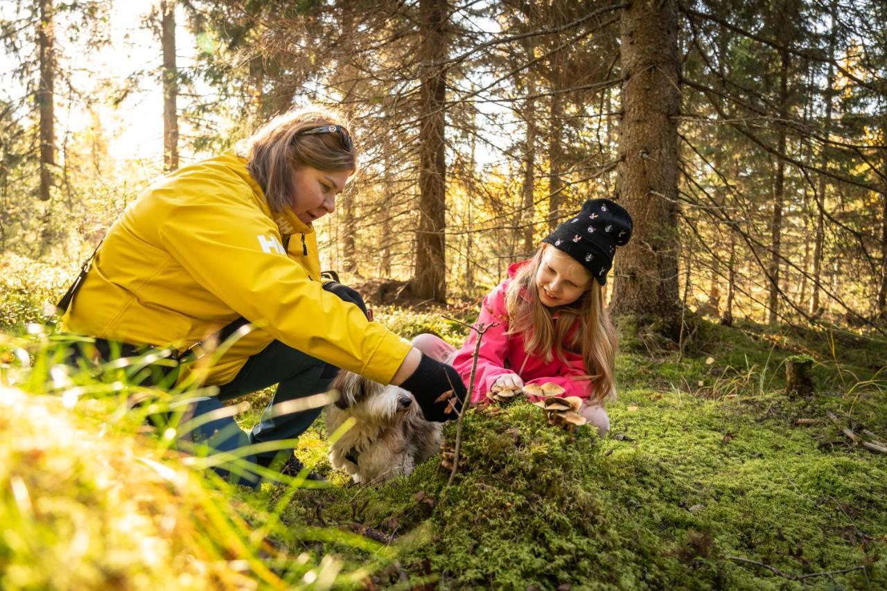 Guesthouse Koli Freetime Ahmovaara Bagian luar foto