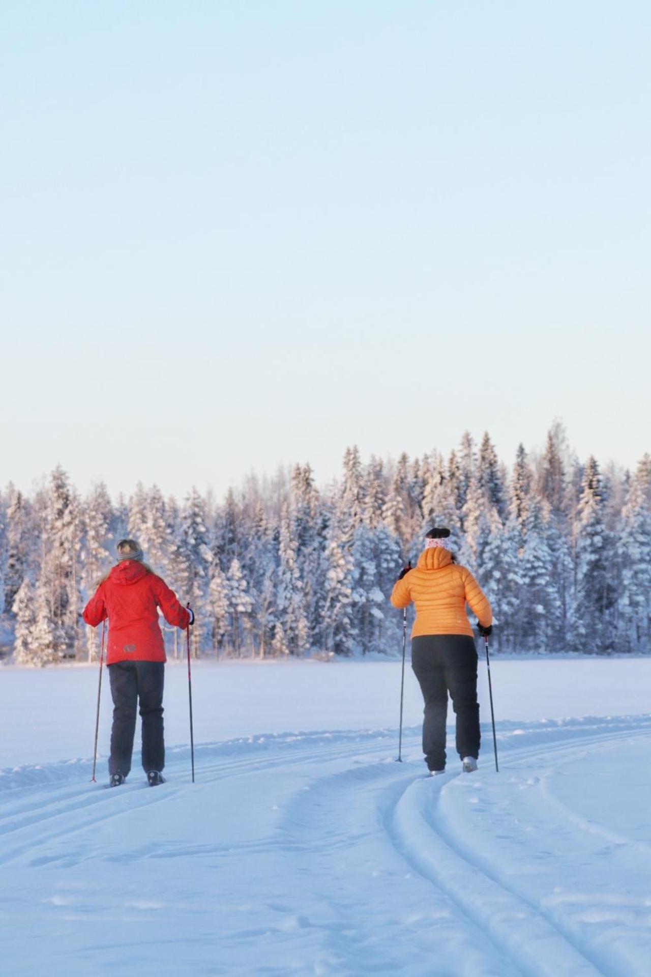 Guesthouse Koli Freetime Ahmovaara Bagian luar foto