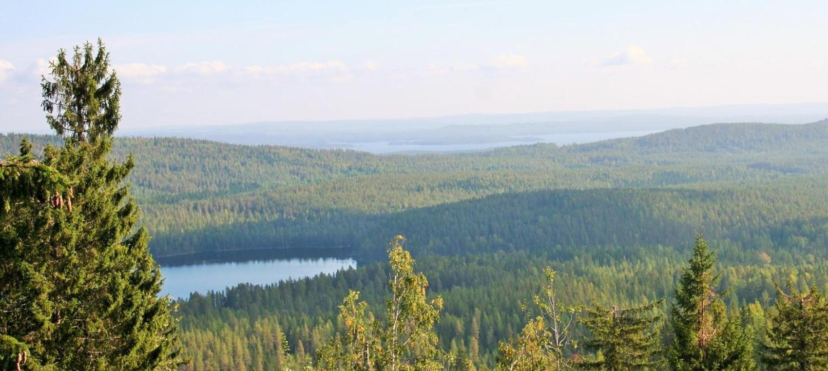 Guesthouse Koli Freetime Ahmovaara Bagian luar foto