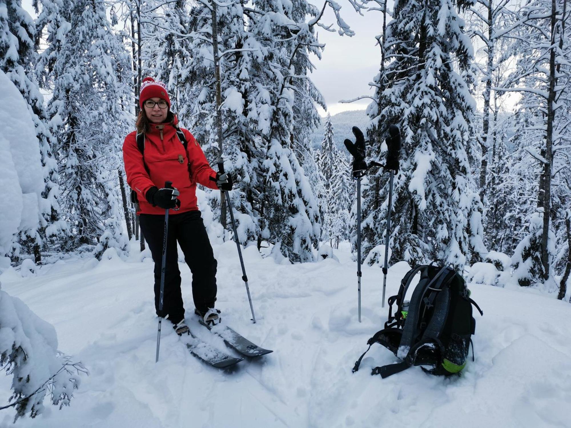 Guesthouse Koli Freetime Ahmovaara Bagian luar foto