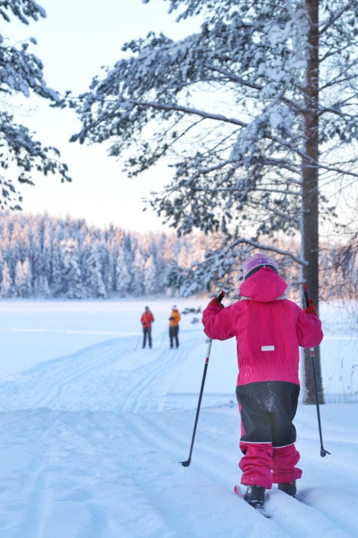 Guesthouse Koli Freetime Ahmovaara Bagian luar foto