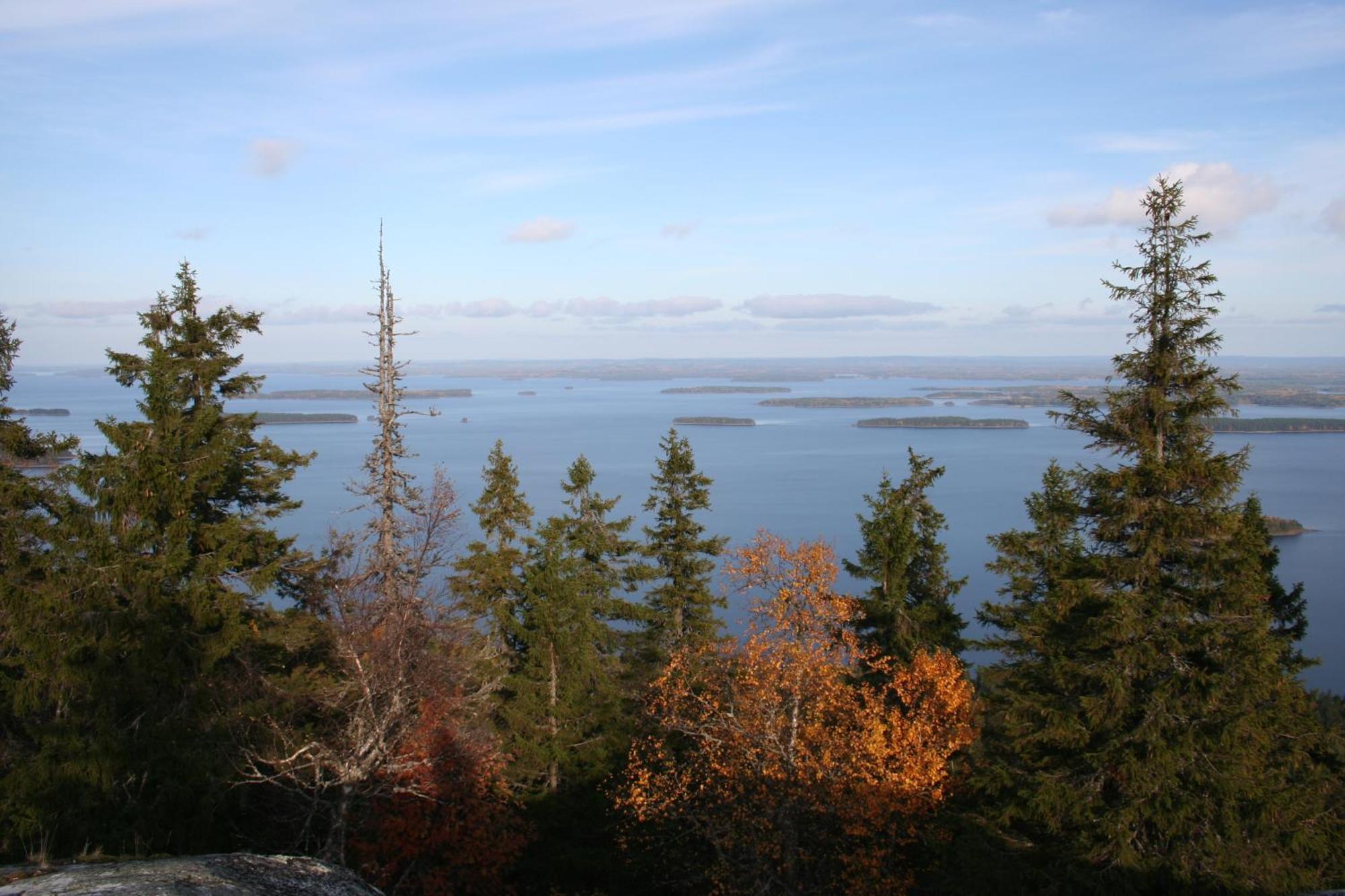 Guesthouse Koli Freetime Ahmovaara Bagian luar foto