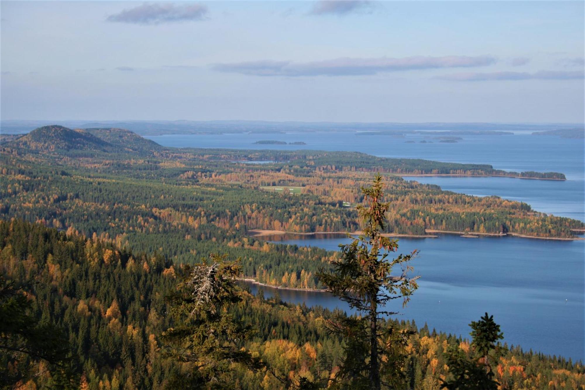 Guesthouse Koli Freetime Ahmovaara Bagian luar foto