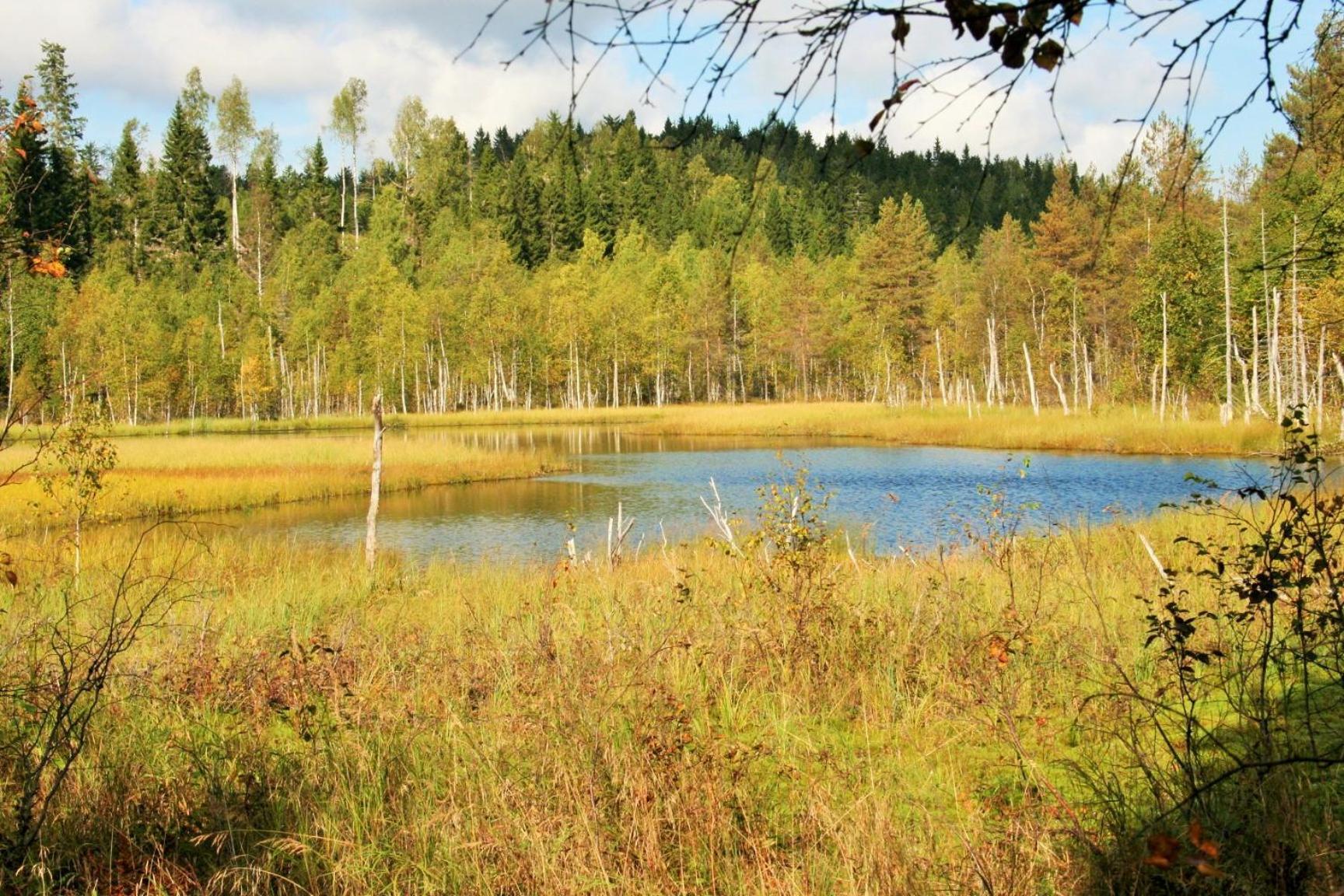 Guesthouse Koli Freetime Ahmovaara Bagian luar foto