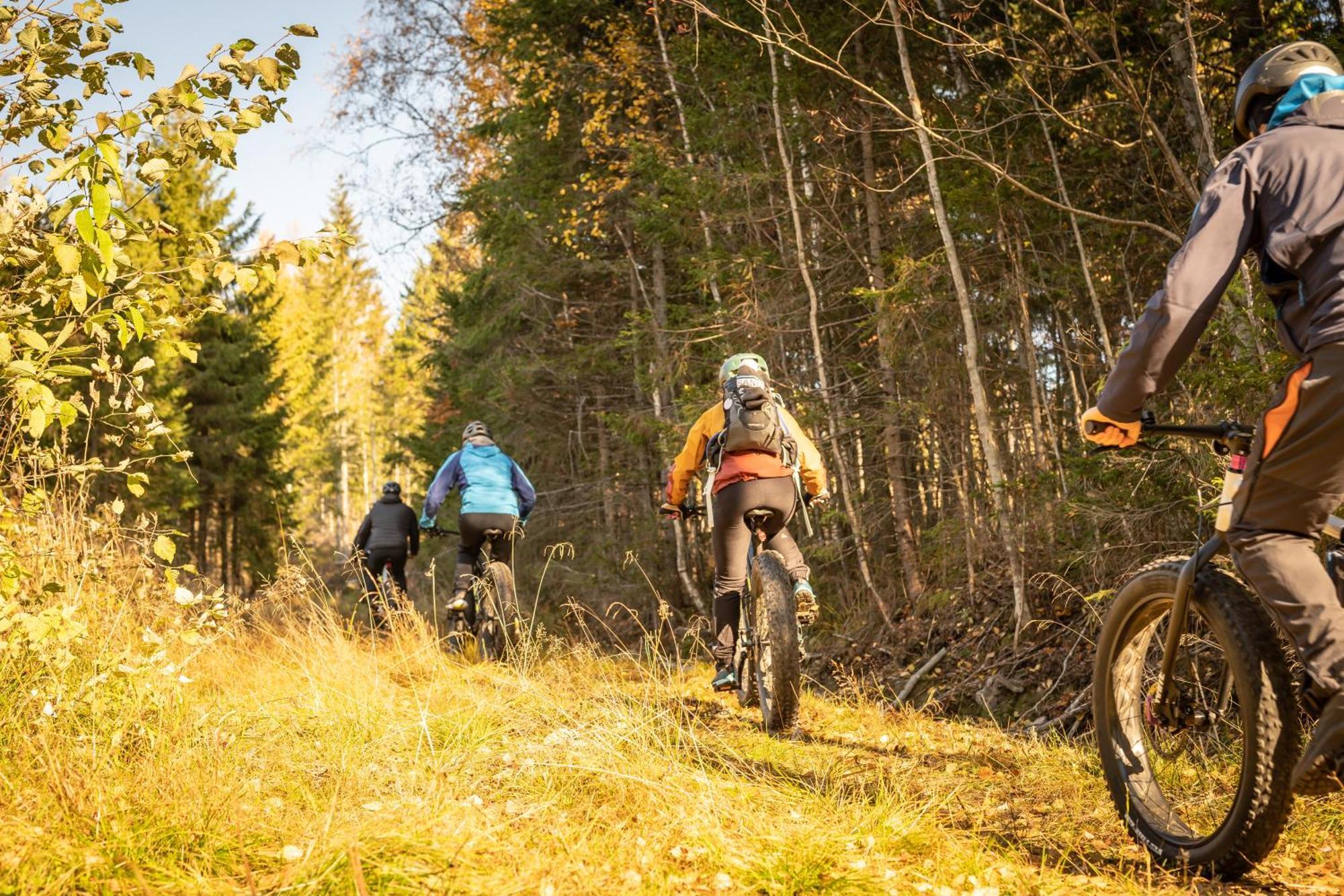 Guesthouse Koli Freetime Ahmovaara Bagian luar foto