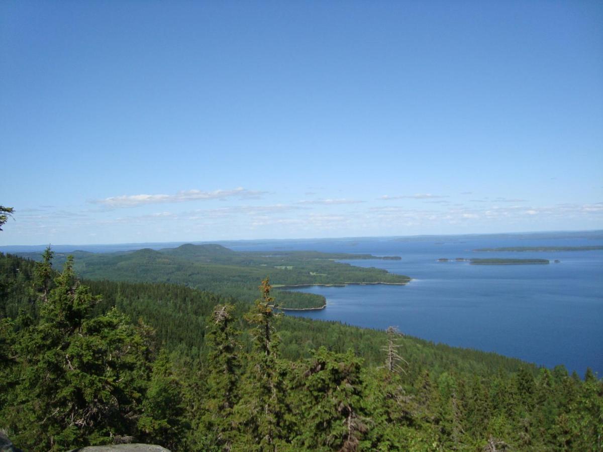 Guesthouse Koli Freetime Ahmovaara Bagian luar foto